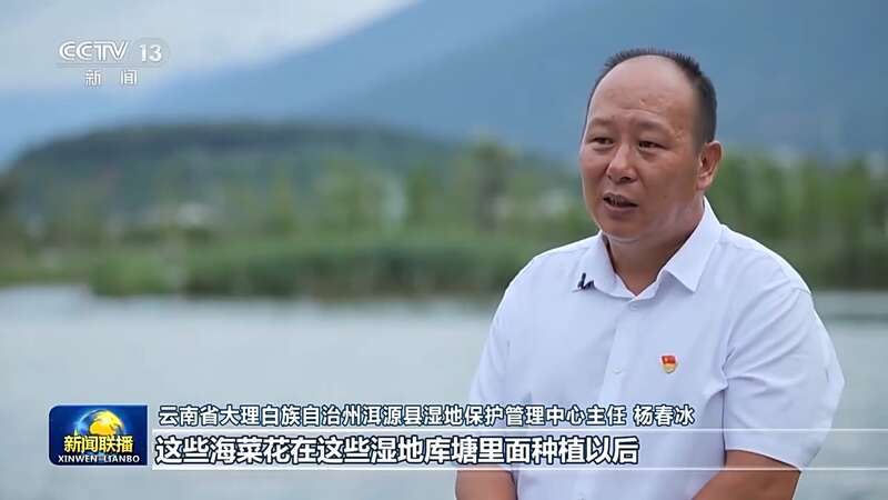 半岛官网洱海治理从“一湖之治”到“生态之治”(图3)