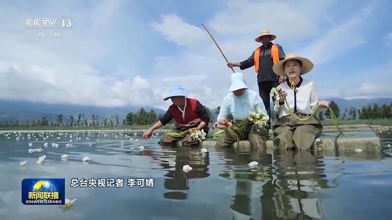 半岛官网洱海治理从“一湖之治”到“生态之治”(图5)